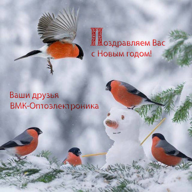  С Новым Годом!